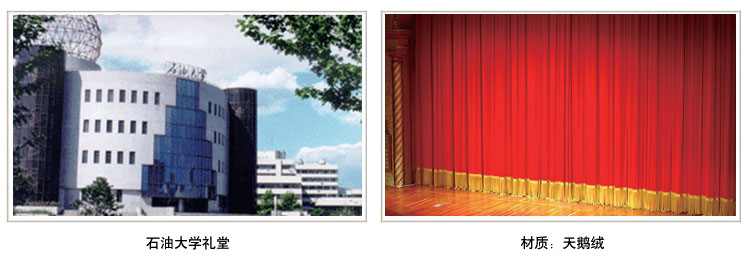 ʯ�ʹ�ѧ����