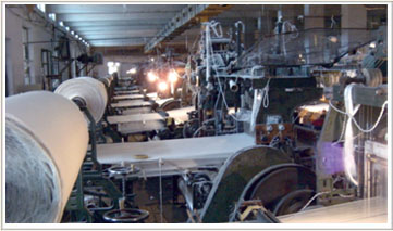 ֯������